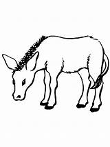 Donkey Coloring Printable Bestcoloringpagesforkids sketch template