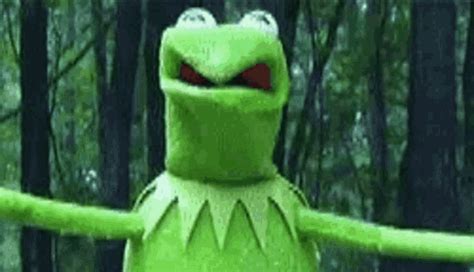 Kermit Funny Gif Kermit Funny Weird Discover And Share Gifs My Xxx