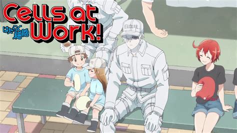 Cells At Work Netflix ~ Cells Season Peace Wanna Covid Expected