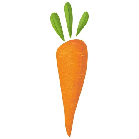 Premium Vector Carrot Isolated On White Hand Drawn Vector Vegetable