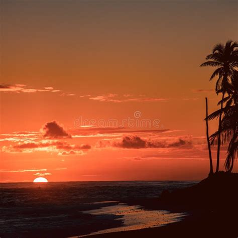 Amazing Sunrise In Tropical Island Paradise Stock Image Image Of
