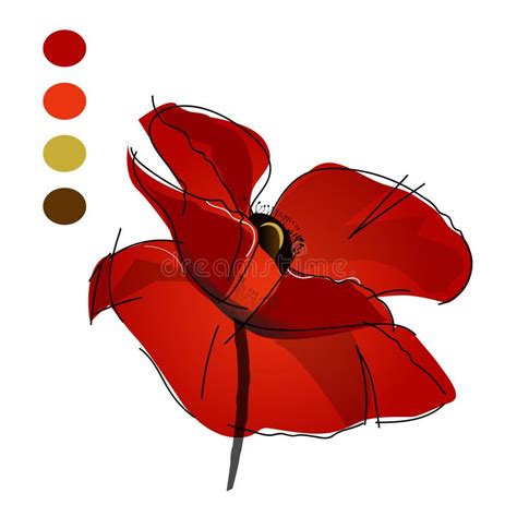 Red Poppy Flower Isolated On A White Background Vector Illustration