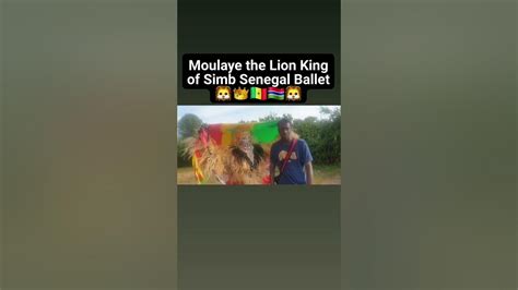 Moulaye The Lion King Of Simb Senegal Ballet 🇸🇳🦁👑🇬🇲🇬🇧 Youtube