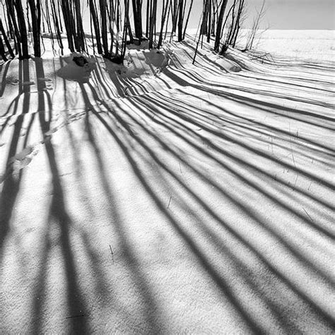 Long Shadows By Ali Shokri Photography Digital Art Limited
