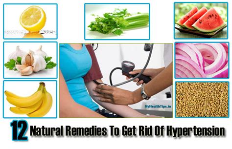 12 Natural Remedies For High Blood Pressure How To Maintain Bp