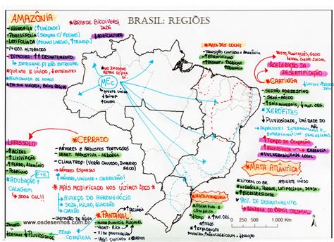 Mapa Mental Regiões Do Brasil Edukita