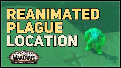 How To Get Reanimated Plague Wow Pet Youtube