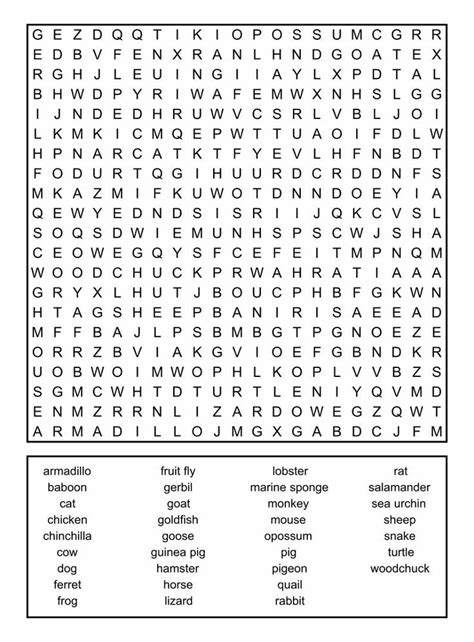 Large Print Word Search Free Printable Get Your Hands On Amazing Free