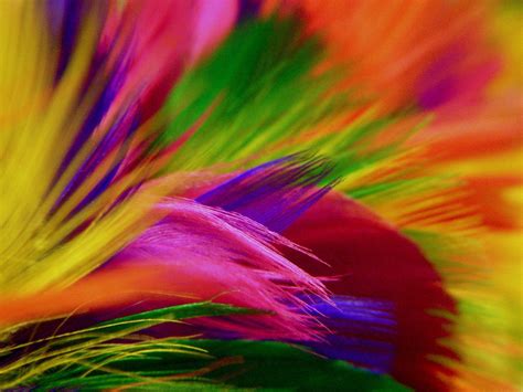 We did not find results for: Colorful HD Backgrounds - Wallpaper Cave