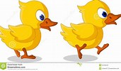 Image result for pic of two ducks