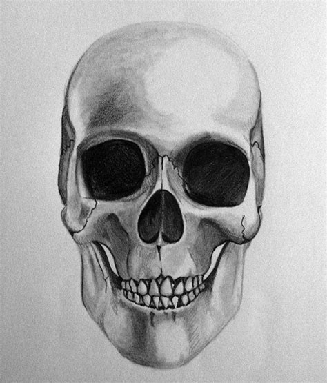 First draw a vertical line down the middle of the face. 21+ Skull Drawings, Art Ideas | Design Trends - Premium PSD, Vector Downloads