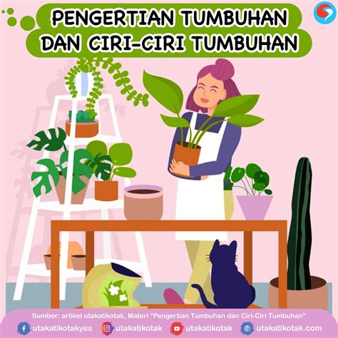 Pengertian Tumbuhan dan Ciri-Ciri Tumbuhan