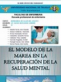 EL-MODELO-DE-LA-MAREA-EN-LA-RECUPERACIÓN.pptx | Enfermería | Salud mental