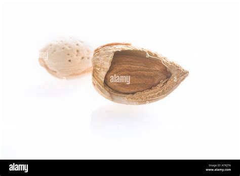 Almond With Shell Hi Res Stock Photography And Images Alamy