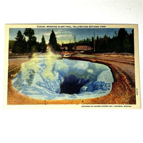 Postcard Morning Glory Pool Yellowstone National Park Wyoming Haynes Linen Ebay