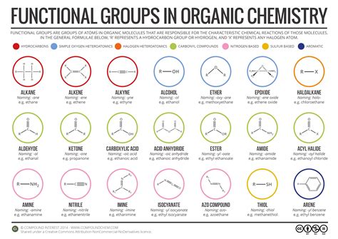 Functional Groups In Organic Chemistry Infographic Chemistrycompk