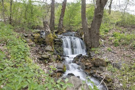 Waterfall At Crazy Mary River Belasitsa Mountain Bulgaria Stock Image