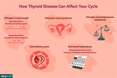 Thyroid Diseases Effect On Fertility And Pregnancy