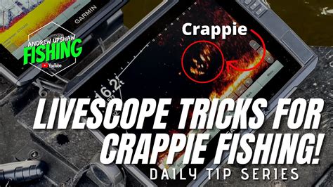 Pro Secrets Exposed Garmin Livescope Tricks For Crappie Fishing Ep