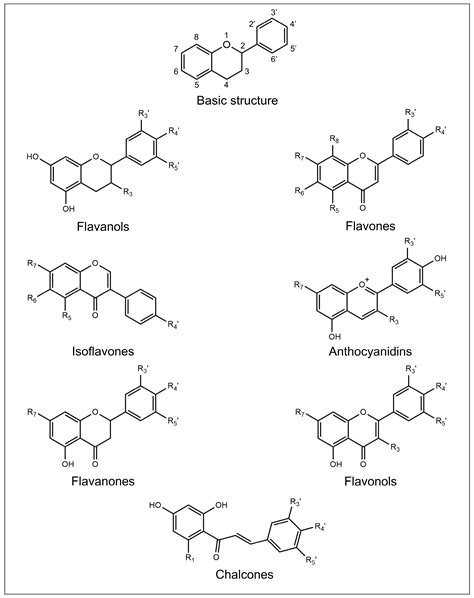 Different Subclasses Of Flavonoids Encyclopedia Mdpi