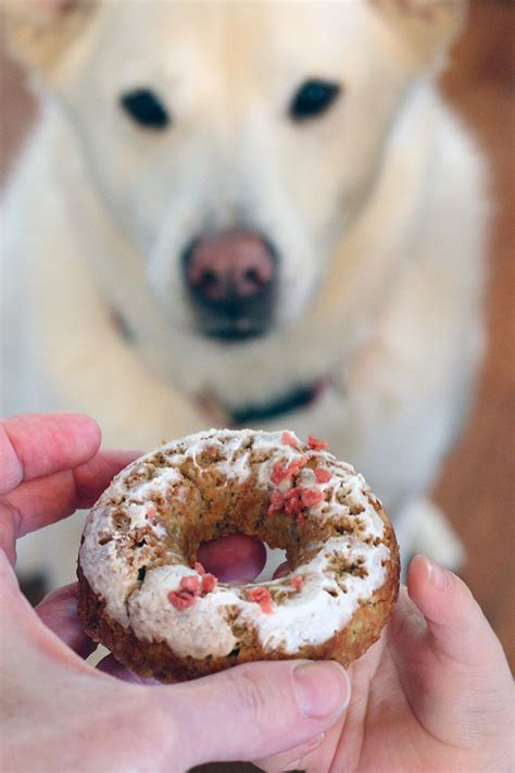 Are Donuts Bad For Dogs As A Treat