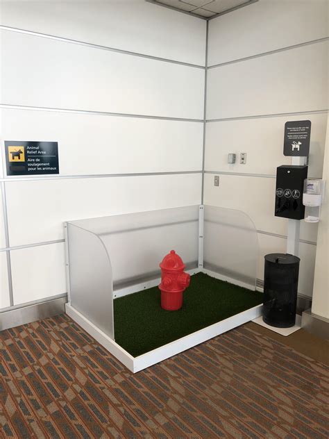 Relief Station For Pets At Airport In Canada Rmildlyinteresting