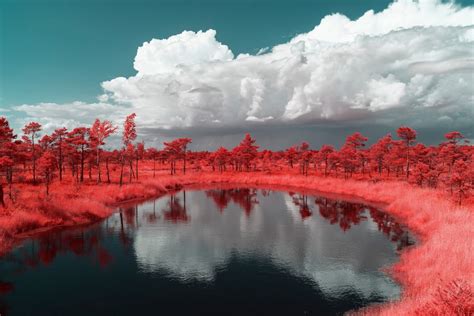 Stunning Infrared Photos Celebrate Latvias Natural Environment