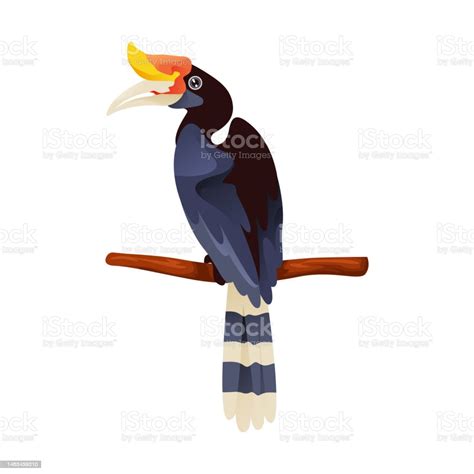 Burung Calao Atau Rangkong Ikon Vektor Atau Clipart Ilustrasi Stok