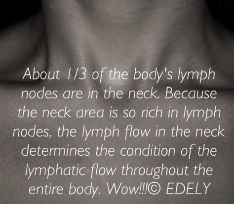 About 13 Of The Bodys Lymph Nodes Are In The Neck Lymphatic