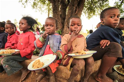 5 Ngos Fighting World Hunger The Borgen Project