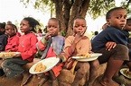 5 NGOs Fighting World Hunger - The Borgen Project
