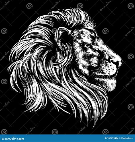 Animal Lion King Of Beasts Hand Drawn Vector Illustration Realistic