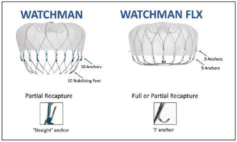 Cardiac Interventions Today Update On Left Atrial Appendage Occlusion