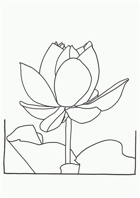 Printable Coloring Pages Lotus Flowers Coloring Home
