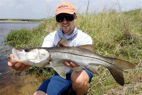 Common Snook Mexican
