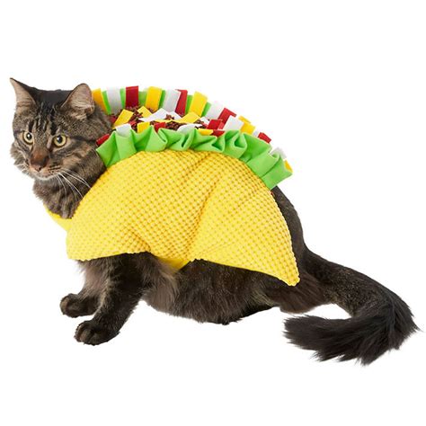 Cute Alert Cat Halloween Costumes For Your Favorite Feline