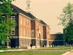 Middlesex University | artecult.net
