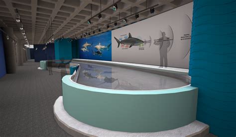 New Shark And Ray Touchpool Gallery Coming To Audubon Aquarium Of The