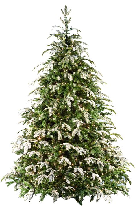 Discover free hd christmas tree png images. Xmas tree png 17 by iamszissz on DeviantArt