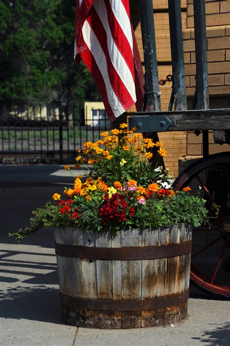 Pretty Whiskey Barrel Planter Ideas How To Plant Outdoor Happens