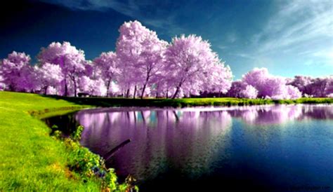 Spring Nature Pictures Wallpaper Amazing Wallpapers