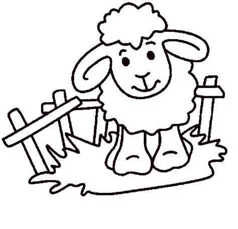 Sheep Coloring Pages Drawing Lamb Printable Kids Preschool Template