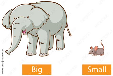 Opposite Adjectives Words With Big And Small Stock Vector Adobe Stock
