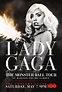 Lady Gaga Presents: The Monster Ball Tour at Madison Square Garden ...