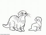 Coloring Otter Pages Color Print Kids Printable Otters Colour Choose Board Popular Animal sketch template