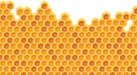 Honeycomb Vector Art