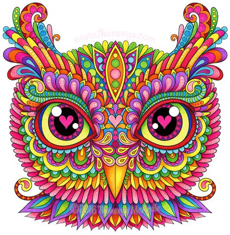 Cool Colorful Owl Drawings