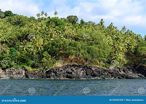 Coast Of Ambae Island Vanuatu Stock Photo Image Of Travelling