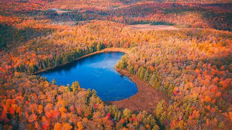 Aerial View Of Fall Forest Heart Shaped Lake Nature Hd Desktop