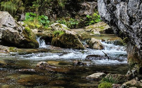 Free Images Landscape Tree Nature Forest Rock Waterfall Creek